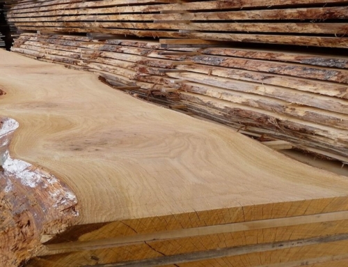 Choosing the Best UK Hardwood for Your Project