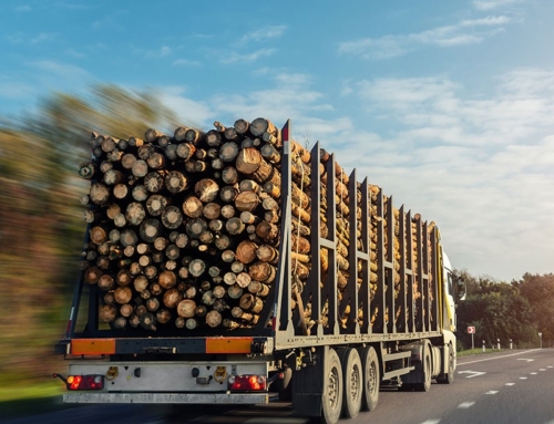The Environmental Impact of Imported vs. UK-Grown Timber